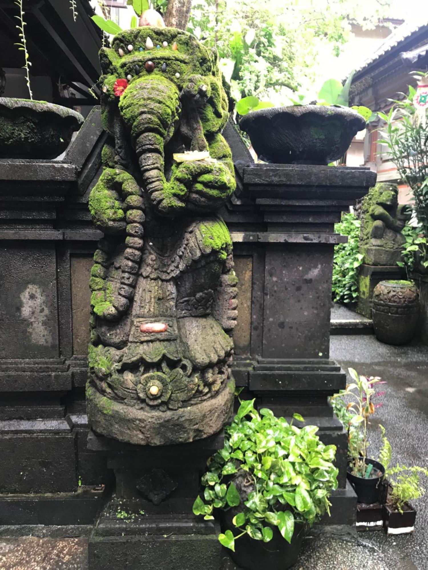 Pangkung House Apartment Ubud  Ngoại thất bức ảnh