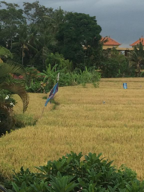Pangkung House Apartment Ubud  Ngoại thất bức ảnh
