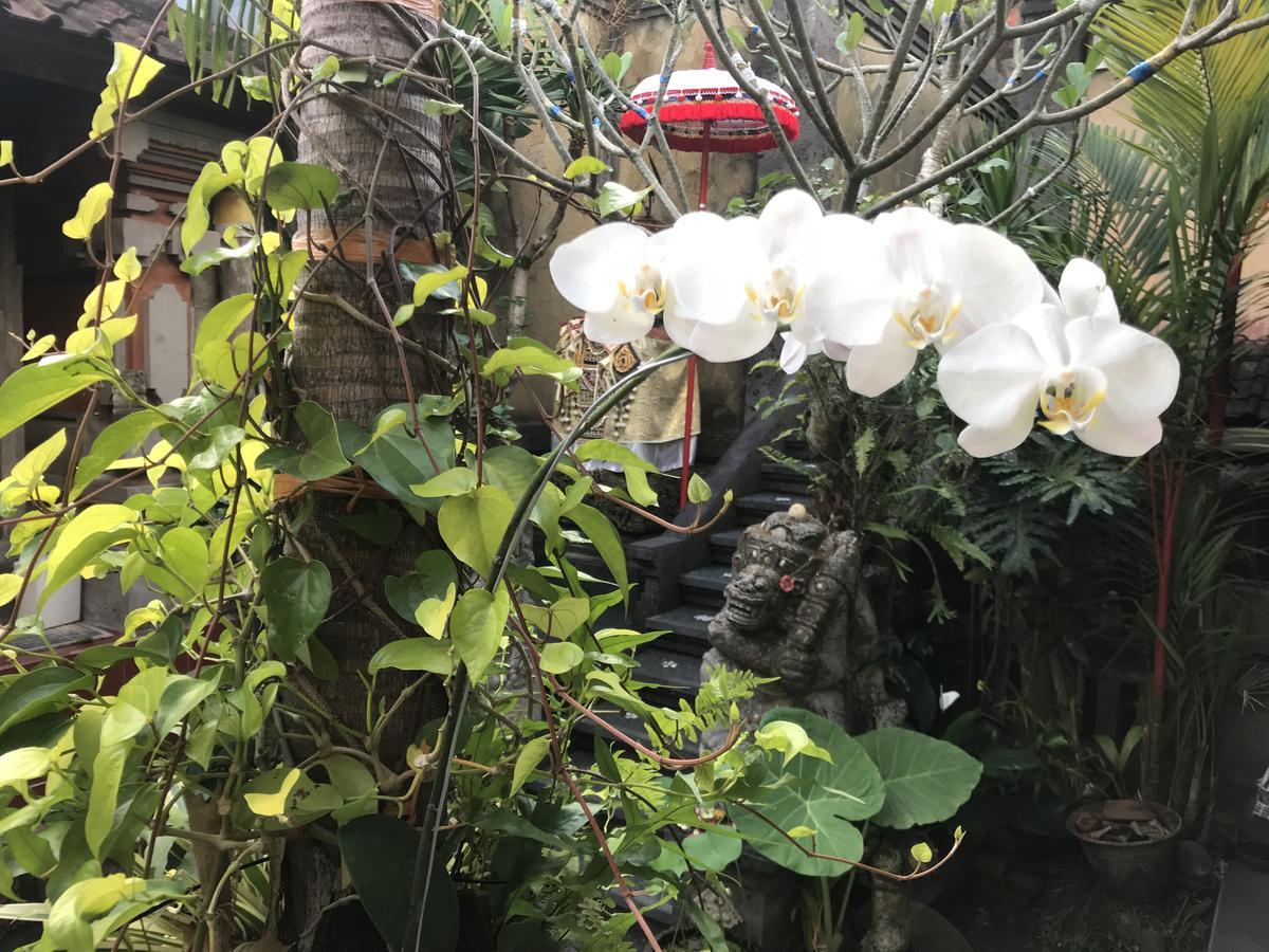 Pangkung House Apartment Ubud  Ngoại thất bức ảnh